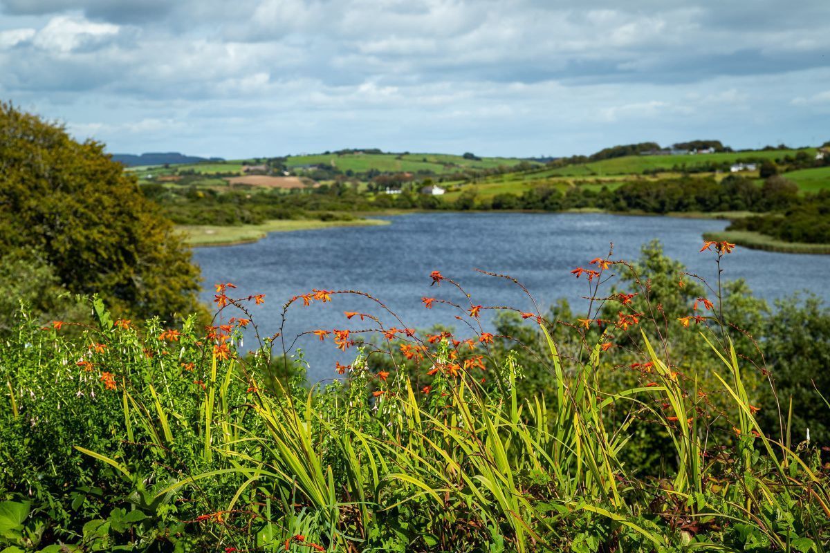 Liss Ard Estate